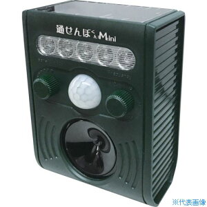 xmq Qbޑu ʂڂ~j FJK193(2691094)
