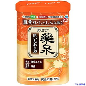 A[X p oX}  藁 081810(2741190)×15[ʓrς][@l][fO]