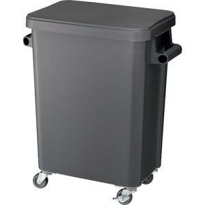 ��RISU �~�[�p�L���X�^�[�y�[��45L �r����t �_�[�N�O���[ GGYK003(3156881)×3[�����ʓr�����ς�][�@�l����][�O����]