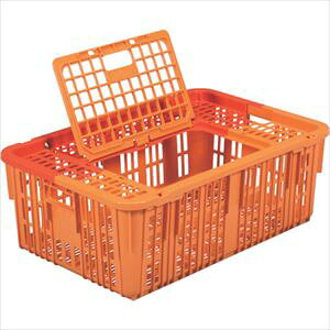 TR[ U4^TC 109000({+vԊW+W) SKTKG4TCOR(3241714)×5[ʓrς][@l][O]