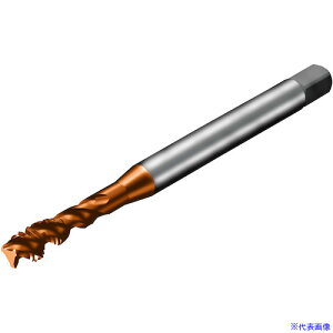 ��SANDVIK �R���^�b�v300 �X�p�C�����^�b�v(781) C110 T300XM100DF38(C110)(3261102)[�����ʓr�����ς�][�@�l����][���[�J�[���]
