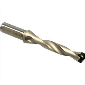 CXJ JhWFbg DSM18002725B1.5D(3385779)[ʓrς][@l][fO]