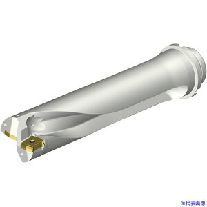 ��SANDVIK �R���h����DS20�n��������h����(465) DS20D5600DM5004(3400403)[�����ʓr�����ς�][�@�l����][���[�J�[���]