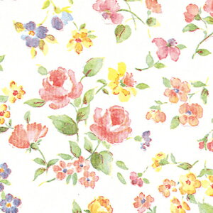 HEIKO  }lXN S 100 002351500(3421677)[ʓrς][@l][fO]