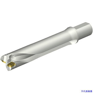 ��SANDVIK �R���h����DS20�n��������h����(465) DS20D5600L5005(3517247)[�����ʓr�����ς�][�@�l����][�f�O���]