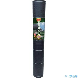 MATAI ͖hNXV[gPRO (1×100m)  Ǌ DDHC10650(3632222)