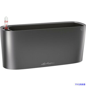 Lechuza ʋv^[ f^20 ye5L `R[ 15563(3691015)