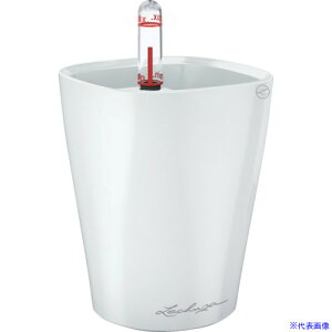 Lechuza ʋv^[ ~jfeB[j ye0.4L zCg 14950(3692512)