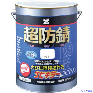 ��BAN�[ZI �h�K�h�� �T�r�L���[�J���[ 4kg �� N-93 BSKCK04A(3701711)[�@�l�E���Ə�����][�O������]