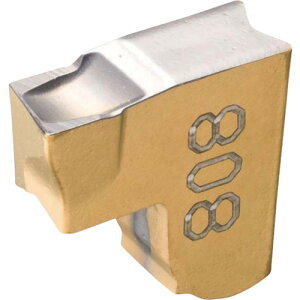 ���C�X�J�� �^���O�O���b�v �`�b�v TAG R/L�|C IC830 TAGL3C6D(IC830)(3746968)×10[�����ʓr�����ς�][�@�l����][�f�O���]