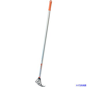   OyF APt 151381(3848466)