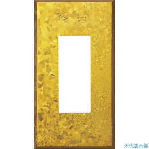 ��SUGATSUNE (210027184)PXP�|AC01�|KY�X�C�b�`�v���[�g�E�R���Z���g�v���[�g PXPAC01KY(3858657)