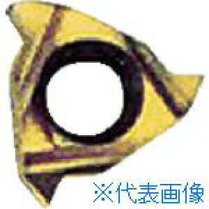 ��NOGA Carmex�˂��؂�p�`�b�v �e�[�p�[�˂��p �`�b�v�T�C�Y8×18�R×60° 08IR18NPTBXC(4033850)×10[�����ʓr�����ς�][�@�l����][���[�J�[���]