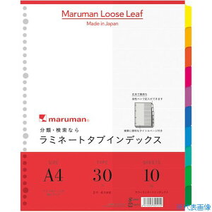 maruman A4 ~^uo L10R LT3010(4057747)