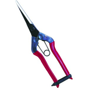 `J}T O T570(4094875)
