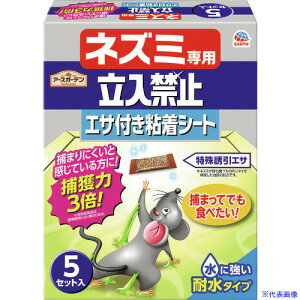 A[X lY~p֎~ GTtSV[g 5Zbg 047519(4098840)×14[ʓrς][@l][fO]