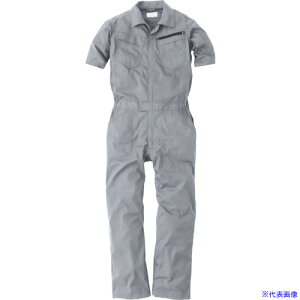 CHUSAN RXpbvXgbvfB[XciM Vo[ L 931126L(4106835)[ʓrς][@lEƏ][fO]