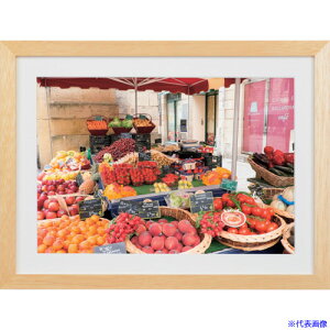 Kenko 1250212 ؐz NEWK[f A4 i` MNGA-A4-NA MNGAA4NA(4142631)