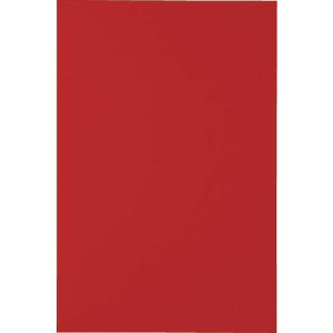 ��TRUSCO �}�O�l�b�g�V�[�g���L200X300 �� MSA2R(4144724)