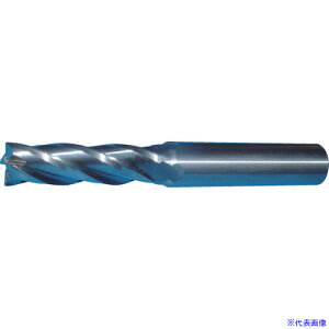 ���A�T�q�H��쏊 �\���b�h�����O4���nA�J�b�g�G���h�~�� SAC4090LM(4336375)[�@�l����][�O������]