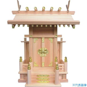 MYZOX _I _NO.10 220710NO10(4353759)[ʓrς][@lEƏ][O]