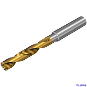 ��SANDVIK �R���h����860�|PM ���d�\���b�h�h����(720) P1BM 860.10970031A1PM(P1BM)(4568405)[�����ʓr�����ς�][�@�l����][���[�J�[���]