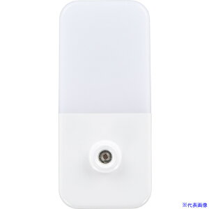 YAZAWA iCgCgÃzCg NASN23WH(4574327)[ʓrς][@lEƏ][fO]