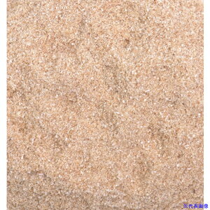 O[NX 100L 6300033117(4678709)[ʓrς][@l]