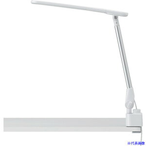 YAZAWA FLkLEDA[Cg CCL08C01WH(4689575)