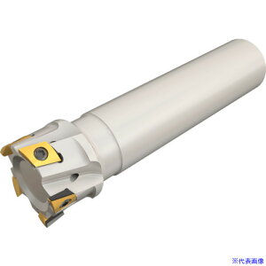 CXJ XE~ z_[ T290ELND2003W2010(4738431)[ʓrς][@l][fO]