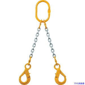 ۈ `F[XO100(AC^Cv)׏d4.3ta10.0mmL1.5m(2-MFF-SHE-10) 2MFFSHE10(4758251)