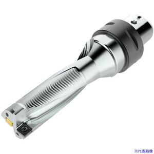���Z�R �h���� �p�t�H�[�}�b�N�X�h���� 3D�^�C�v SD523 SD5231648C6(4840262)[�����ʓr�����ς�][�@�l����][�f�O���]