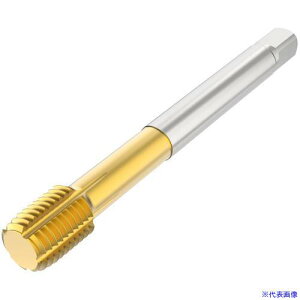 ���Z�R �^�b�v T33FSN09C057162022R(4906809)[�����ʓr�����ς�][�@�l����][�f�O���]