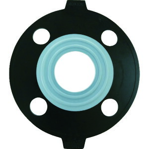 ���G�X���� PTFE(�e�t����)�p�b�L�� 40A JIS10K PP40(4949153)