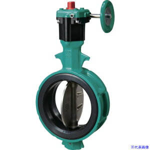 ���b 700Z�|2F JIS10K ADC12/SCS13/EPDM 100A 700Z2F100S13E(4954491)