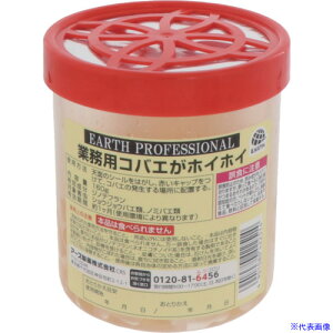 A[X ƖpRoGzCzC 422514(5114770)[ʓrς][@l]