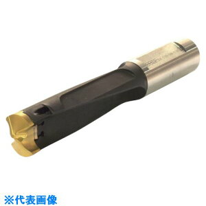 ���C�X�J�� �J���h���� �w�b�h�������h�����z���_ DCM-3.5D DCM17005517B3.5D(5166896)[�����ʓr�����ς�][�@�l����][�f�O���]