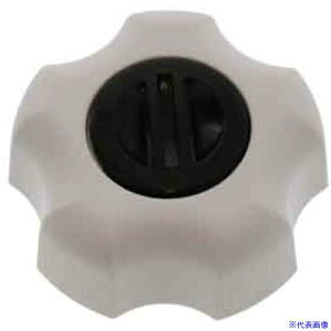 ��SUNCO NEW�t�B�b�g�m�u(�� �N���L���b�v 1/2(�N�� (1�{����) N0002K2580400000001P(5171447)[�����ʓr�����ς�][�@�l����][�f�O���]