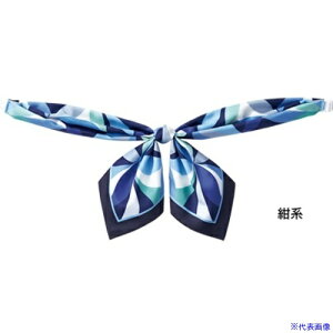 ��GROW �t���[�����E�^�C���{���X�J�[�t���nF GNTL1452K3F(5213117)[�����ʓr�����ς�][�@�l����][�f�O���]