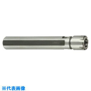 ���C�X�J�� �X�g���[�g�V�����N ST�|ER�|MF ST22X80ER20MF(5215650)[�����ʓr�����ς�][�@�l����][�f�O���]