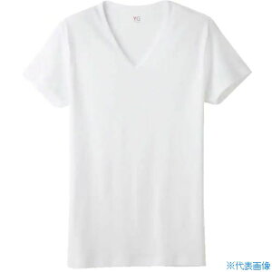 ��GUNZE YG����V�� YV0015V03LL(5252009)