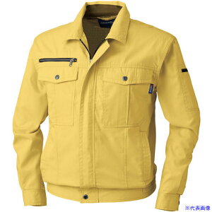 ���K�a 613 �����u���]�� �}�X�^�[�h 4L 613924L(5319079)[�����ʓr�����ς�][�@�l����][�f�O���]