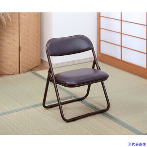 TASSCOM ܂߂a~`FA uE 2rg TAN2102BR(5370802)[@l][O]