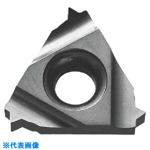 �����Z�� ���a�˂��؂���H�p�`�b�v (���j�t�@�C�˂� UN) TC60M 16IR14UN(TC60M)(5433304)×10[�����ʓr�����ς�][�@�l����][�f�O���]