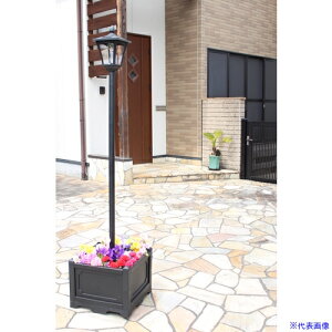 TASSCOM lpt\[[X 1 TAN7931(5455398)[@l][O]