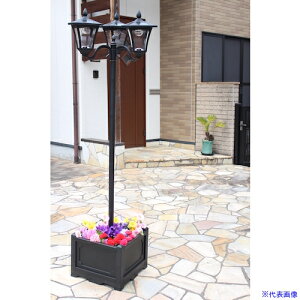 TASSCOM lpt\[[X 3 TAN7933(5455866)[@l][O]