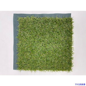 ��TASSCOM �l�H�Ń}�b�g 9���Z�b�g TAN9789(5455867)[�@�l����][�O������]