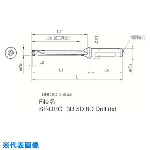 �����Z�� �}�W�b�N�h�����p�z���_ SF�|DRC ���H�[��8×DC SF25DRC250M8(5522951)[�����ʓr�����ς�][�@�l����][�f�O���]