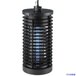 NTX dE 6W LXGT811452(5703253)[ʓrς][@lEƏ][O]