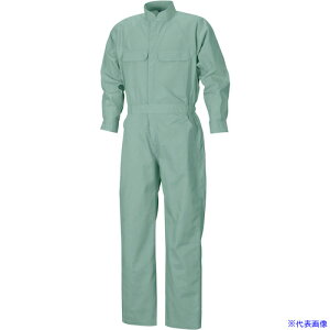�������N�T�X T/C �~�Ǖ�(�Ȃ���)�A�[�X�O���[�� M LXS716028M(5753441)[�����ʓr���ς�][�@�l�E���Ə�����][�O����]
